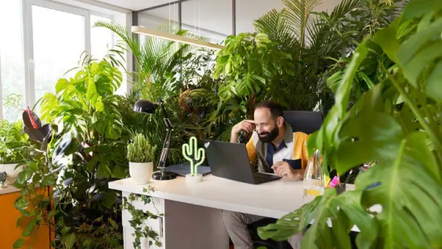 Work #LikeABosch — Apply now